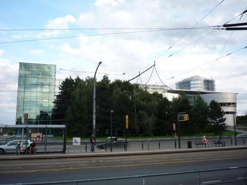 P1250099.JPG