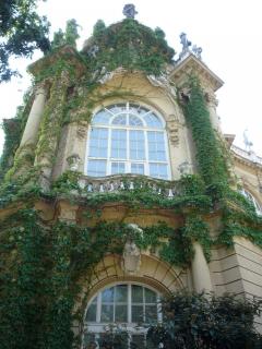 P1070152r.JPG