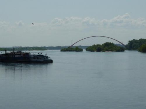 P1260249.JPG