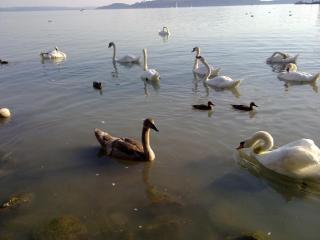 15082011251.jpg