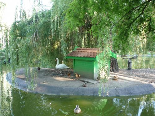 P1220157.JPG