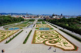 belvedere-palace-backyard.jpg