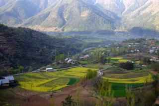 kashmir9b.jpg