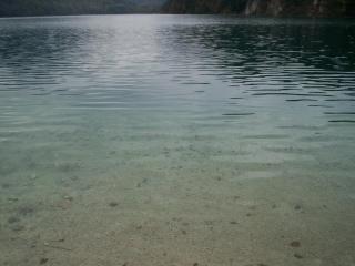 100_1107.JPG