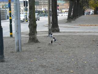 288.JPG