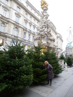 P1050250.JPG