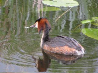 IMG_5447.JPG