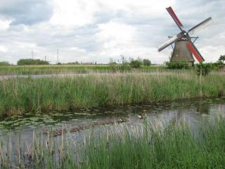 IMG_5417.JPG