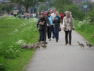 IMG_5426.JPG