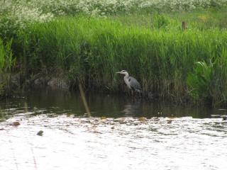 IMG_5448.JPG