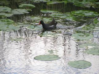IMG_5435.JPG