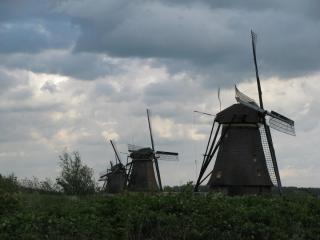 IMG_5436.JPG