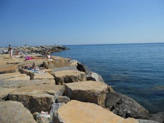 DSCN3045_.jpg