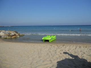 DSCN3508.jpg