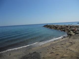 DSCN3043_.jpg