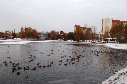 Белое озеро.jpg