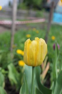 IMG_0100.JPG