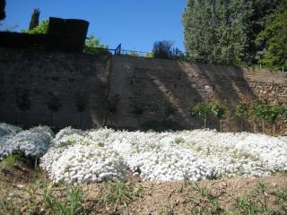 апрель 2012 505.JPG