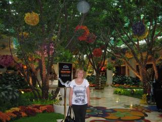 2Америка 2010 008.JPG
