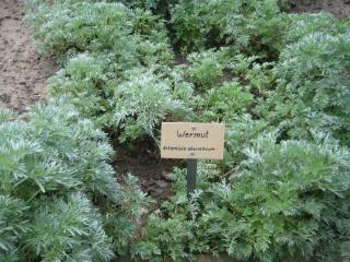 апрель 2012 077.JPG