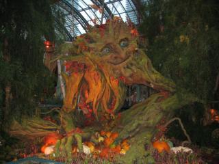 1Америка 2010 472.JPG