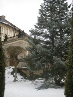 Новый год в Европе 2011 132.JPG