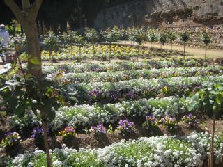 апрель 2012 508.JPG