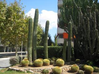 Сентябрь 2011 040.JPG
