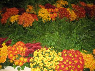 2Америка 2010 016.JPG