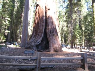 2Америка 2010 037.JPG