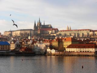P1030061.JPG
