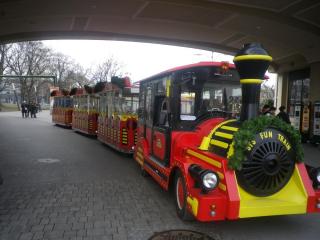 IMGP7155.JPG