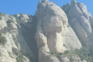 CIMG0519.JPG