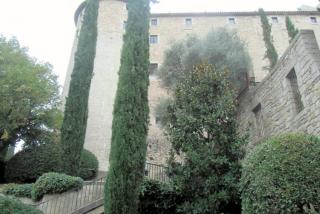 CIMG0609.JPG