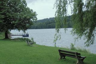 CIMG0315.JPG