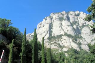CIMG0533.JPG