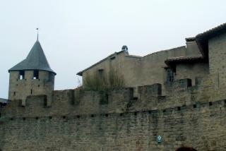 CIMG0622.JPG