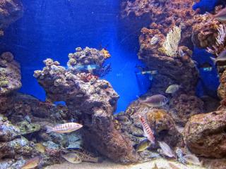 IMG_8446.JPG