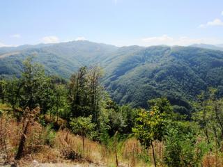 IMG_2600.JPG
