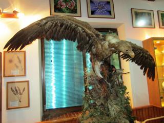 IMG_2892.JPG