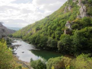 IMG_2704.JPG