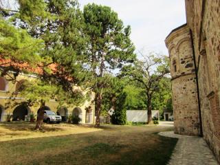 IMG_2912.JPG