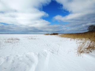 IMG_3419.JPG