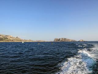 IMG_7461.JPG