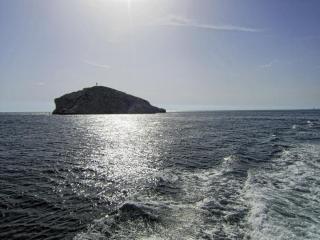 IMG_7331.JPG