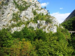 IMG_2674.JPG