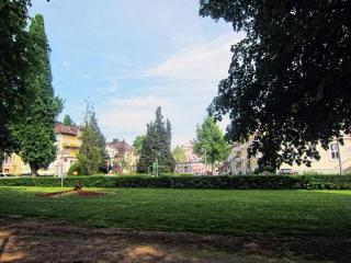 IMG_2505.JPG
