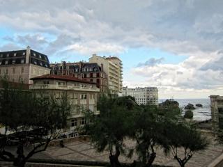 IMG_7981.JPG