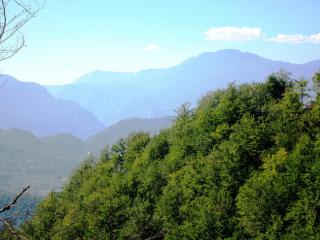 IMG_2597.JPG