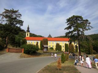 IMG_2905.JPG